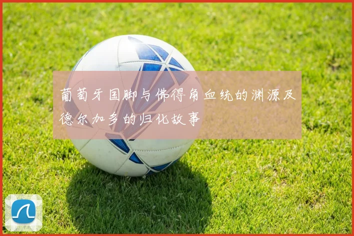 葡萄牙国脚与佛得角血统的渊源及德尔加多的归化故事